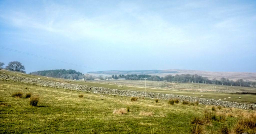 Our landscape sets feat