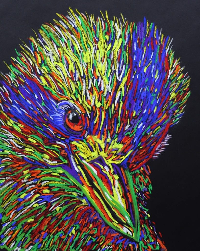 Brent emerson gugurrgaagaa kookaburra