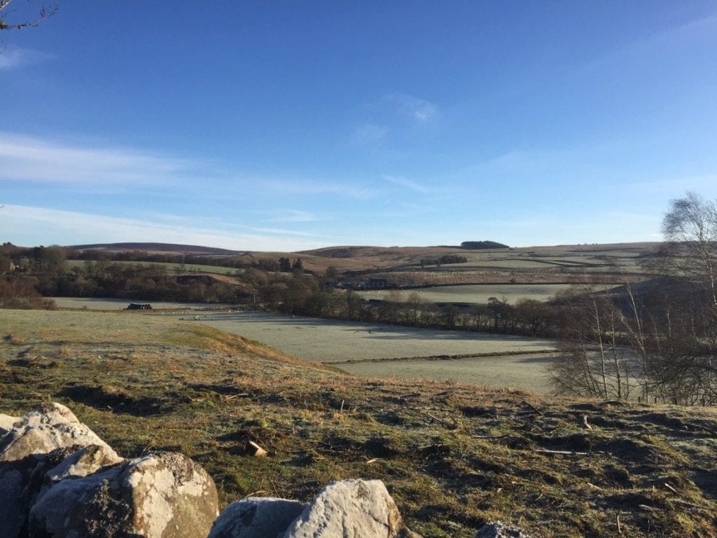 Where is unison colour