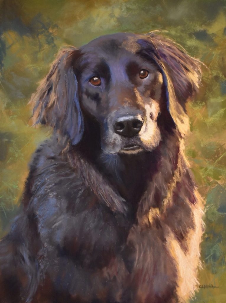 A pastel portrait of a brown retriever, side lit by the sun.