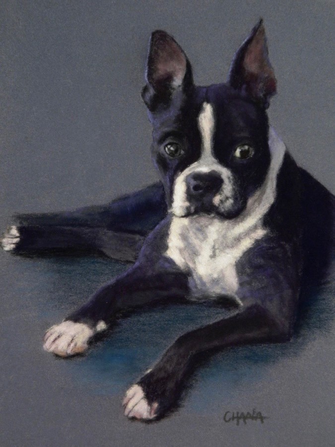 Pastel painting depicted a small black and white bull terrier dog.