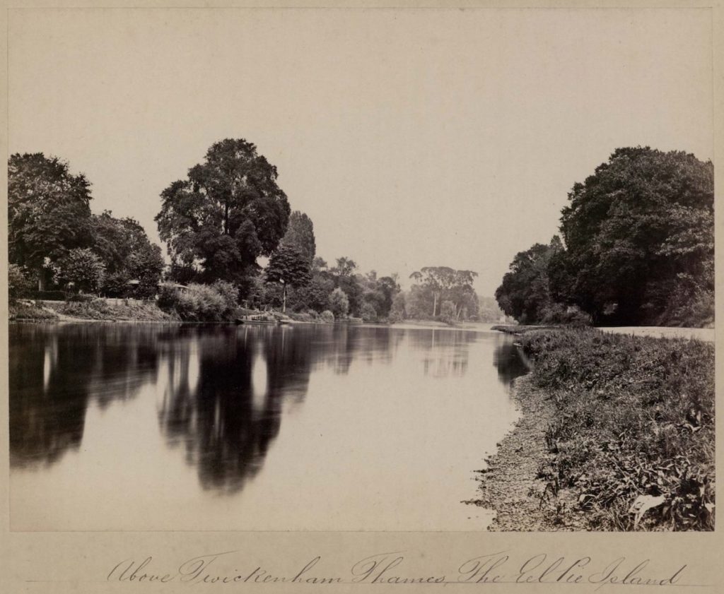 Sepia-Foto eines Sees, umgeben von Bäumen.