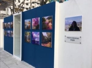 RS Weinblatt's work, featured in Chinese Gallery.