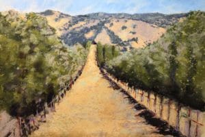 Through the vineyard by neva rossi smoll