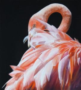 Flamboyance by julie freeman