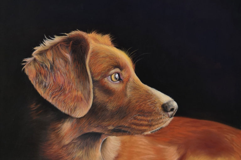 Pastel portrait of a dog