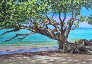 Anini Adapted, by Helen Turner.