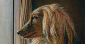 Emma colbert live q and a feat