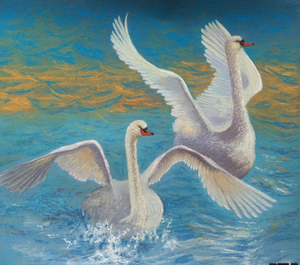 Wild Swans, by Kay Cullen.