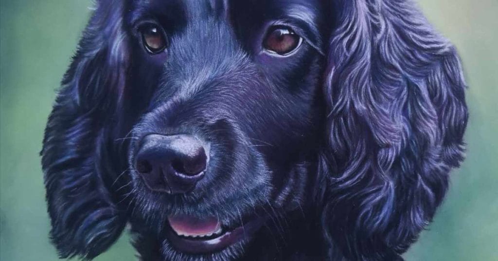 5 day pastel challenge with sue kerrigan harris feat