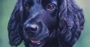 5 day pastel challenge with sue kerrigan harris feat