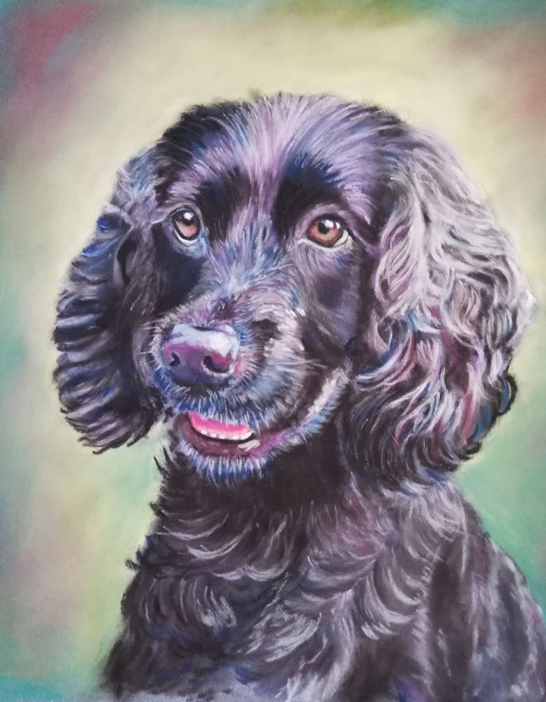 Bailey: The Artist's Experience 3 Bailey: The Artist's Experience 2