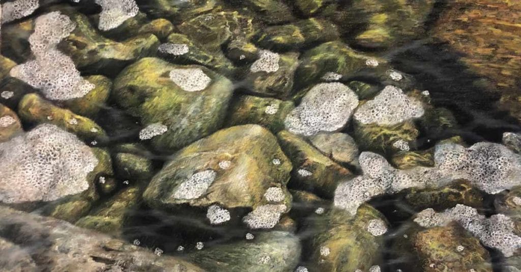 My painting journey with pastels by francisca siri feat