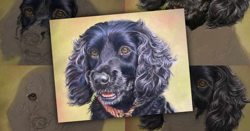 The bailey artists experience og