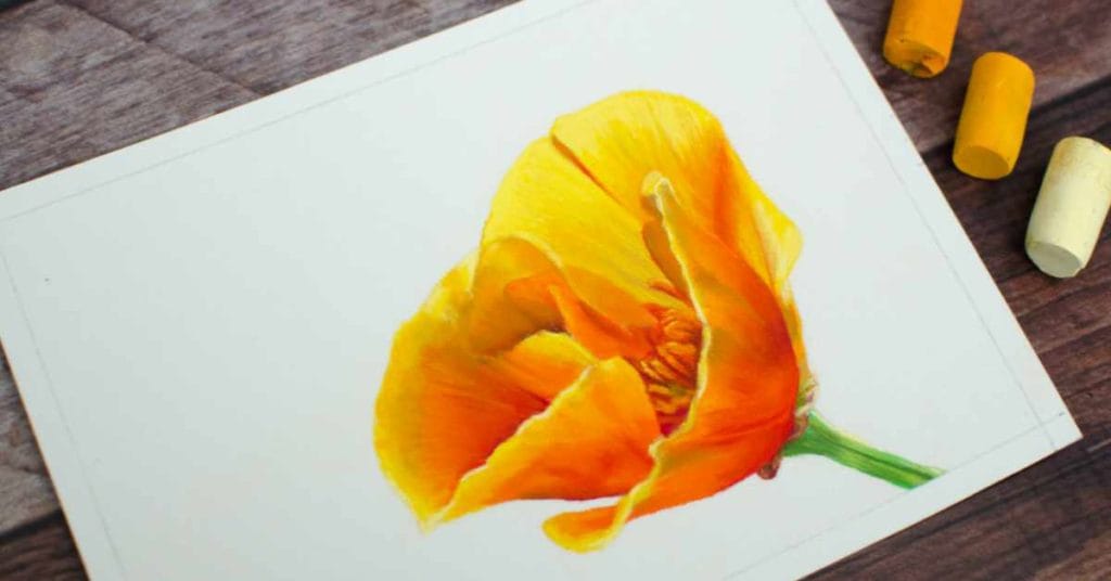 When pastels equal freedom by kit gray feat