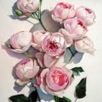 Pastel painting by oxana babkina