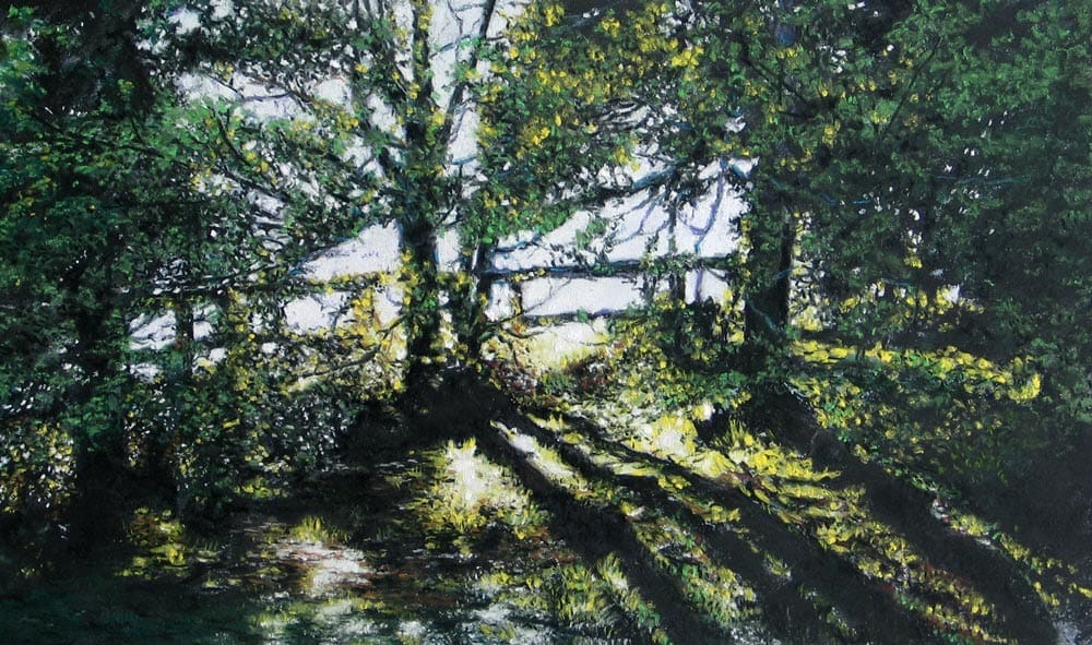 Dawn Light, by Julie Freeman.