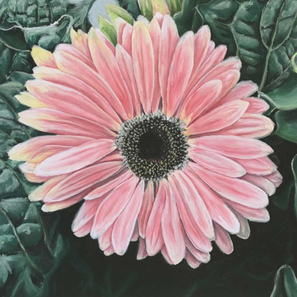 She loves=me she loves me not by kaitlyn flis