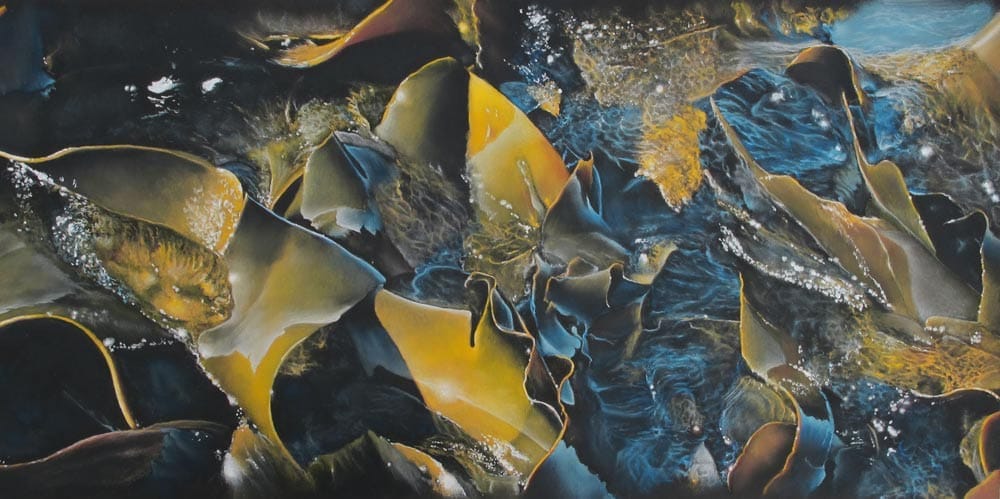 Southern Kelp, by Julie Freeman.