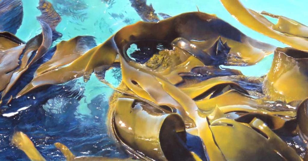 What makes a successful painting by julie freeman feat