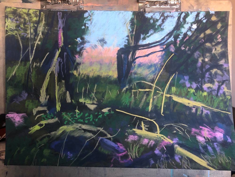 Plein Air to Pastel Painting 7 Adding even more colour.