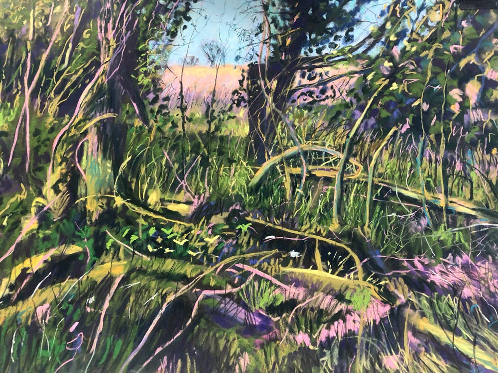 Plein Air to Pastel Painting 8 The completed piece.