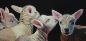 Goals to success by meral altilar email