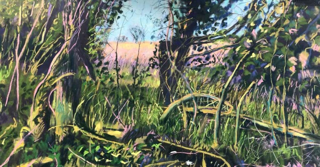 Plein air to pastel painting by dawn limbert feat