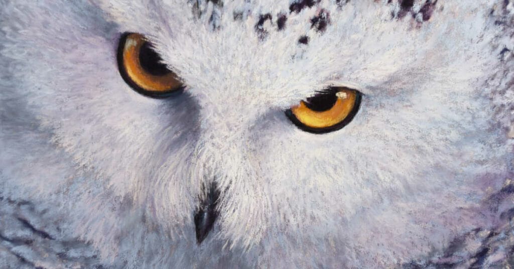 The plan is subject to change by tracey maras feat