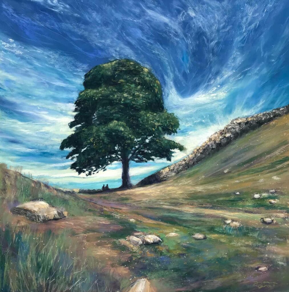 Sycamore gap by fiona carvell