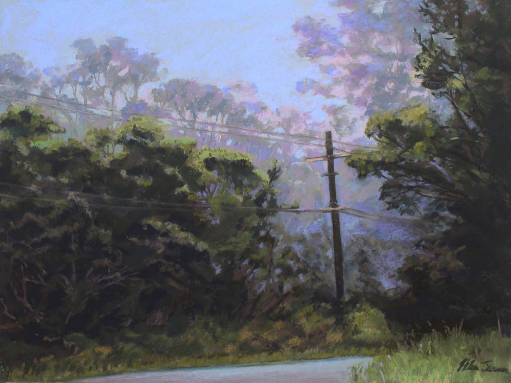 Pastel painting by Helen Turner, of a country road with telegraph wires.