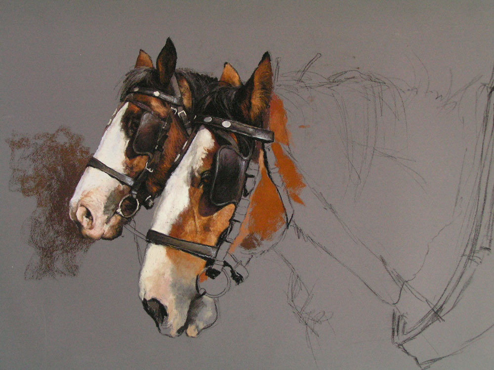 Benny and Zac, horse portrait in Unison Colour Soft Pastel, by Julie Greig.