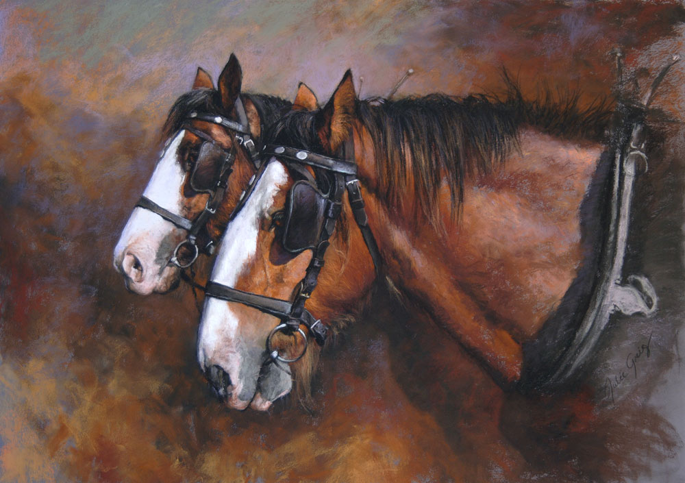 Portrait de cheval achevé en pastel tendre, par Julie Greig.