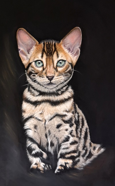 5 Day Pastel Challenge: Bengal Kitten with Sue Kerrigan-Harris 1