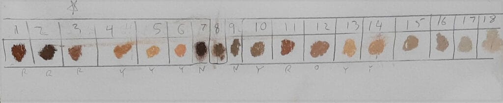 Natural Earth chart, by Rhonda Abrams