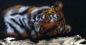 Finding the time by estelle robinson feat