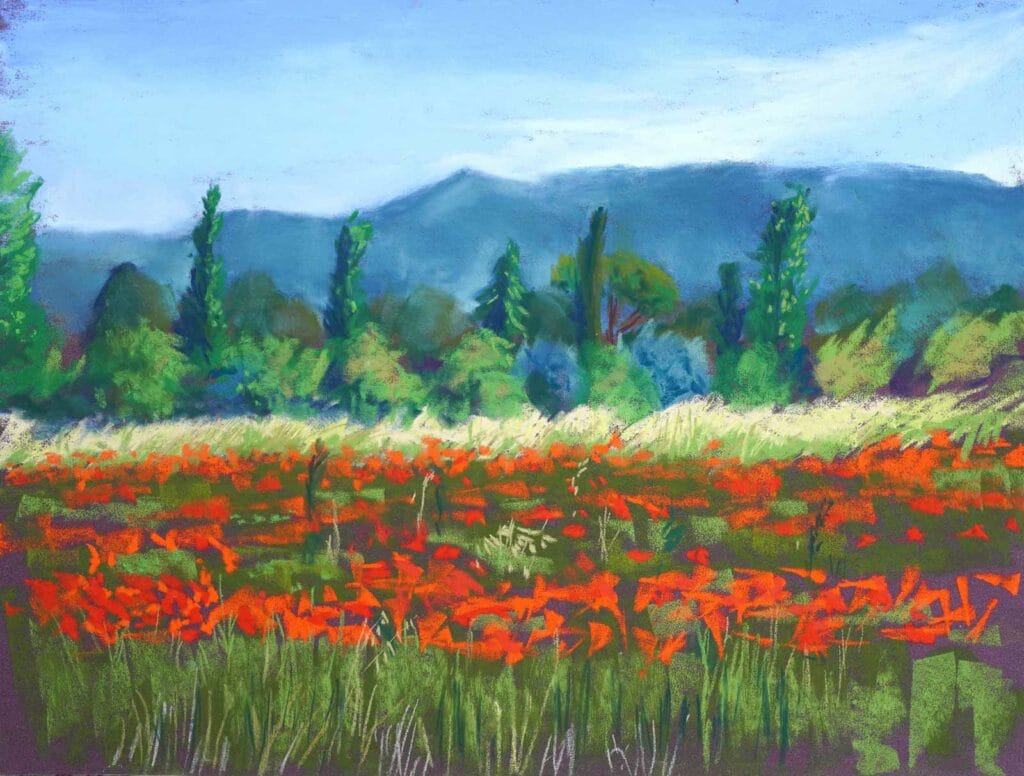Coquelicots3 by cindy barillet