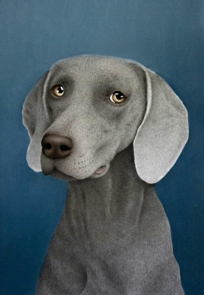 Darren hughes art darcy