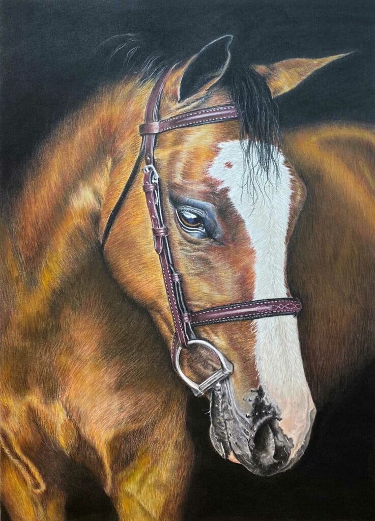 Image 3 by tricia findlay