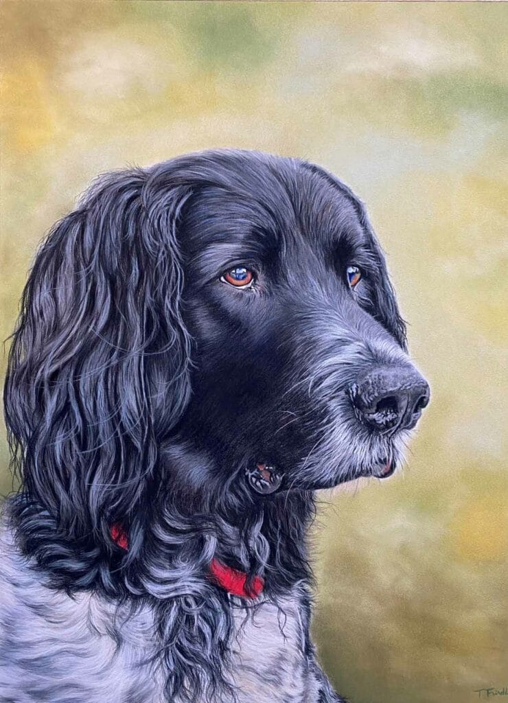 Image 4 by tricia findlay