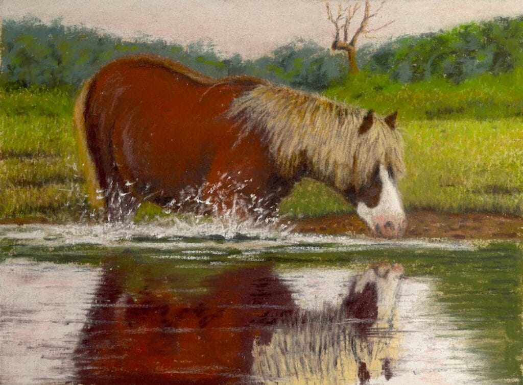 Image1 by daniel p turner thomas