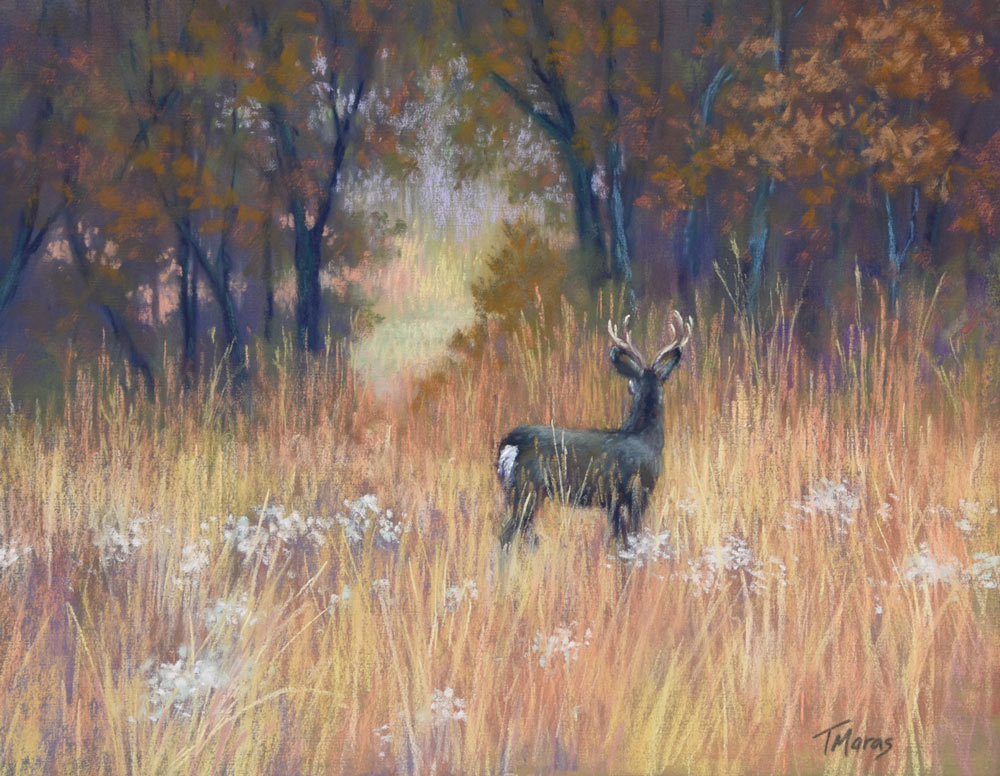 Pastel painting of a deer looking towards a gap in the trees.