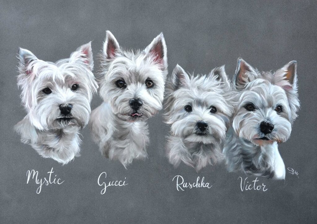 Westies by cindy barillet