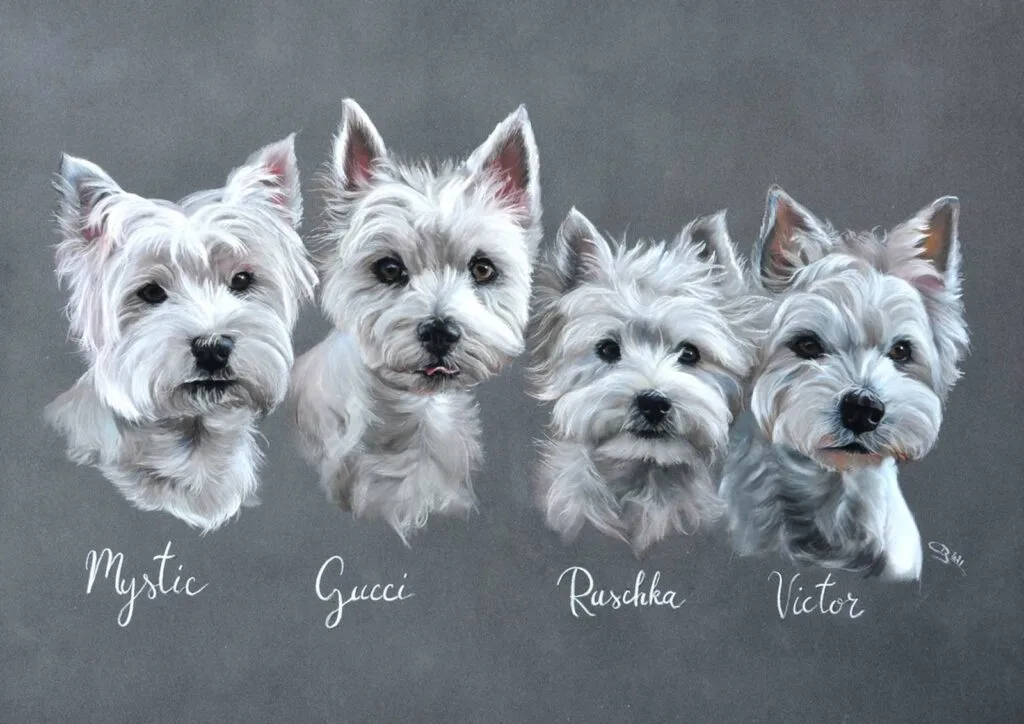 Westies by cindy barillet