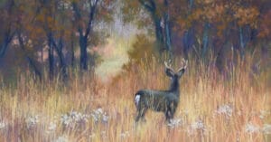 You enjoy painting and then you get lost by tracey maras feat