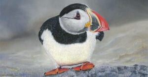 The dyslexic artist by tricia findlay feat