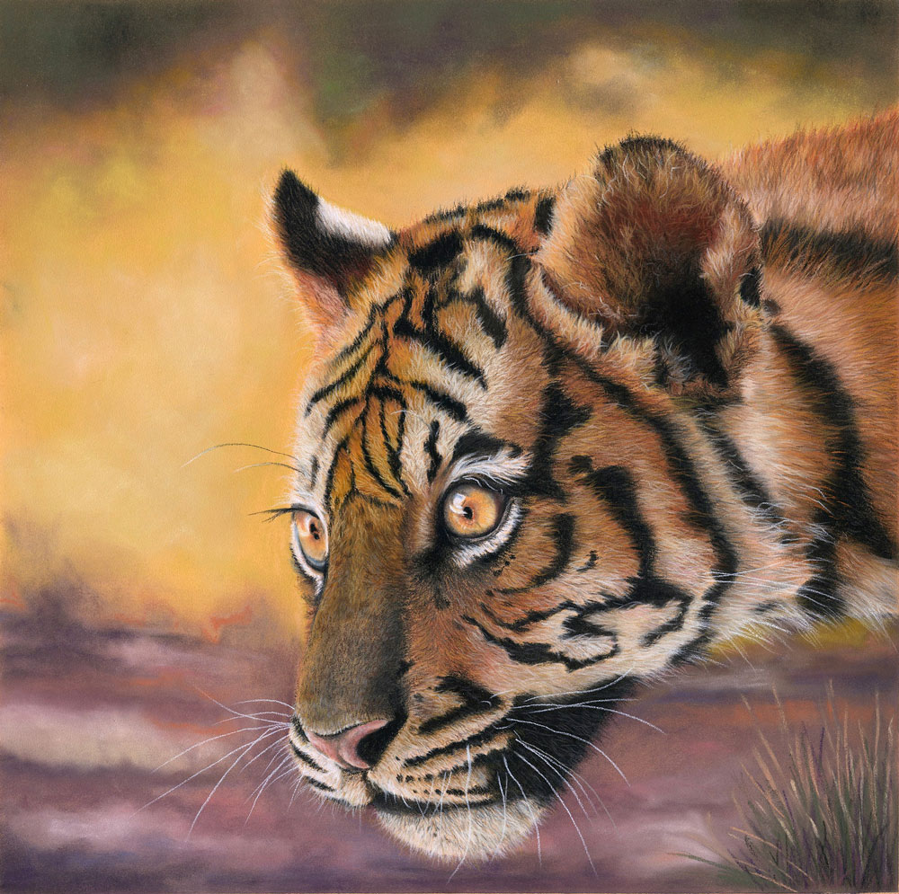 Pastel painting of a Tiger