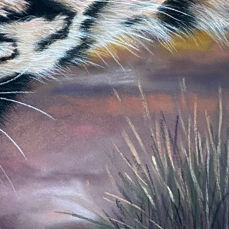 Close up section of grasss in a pastel painting of a Tiger.