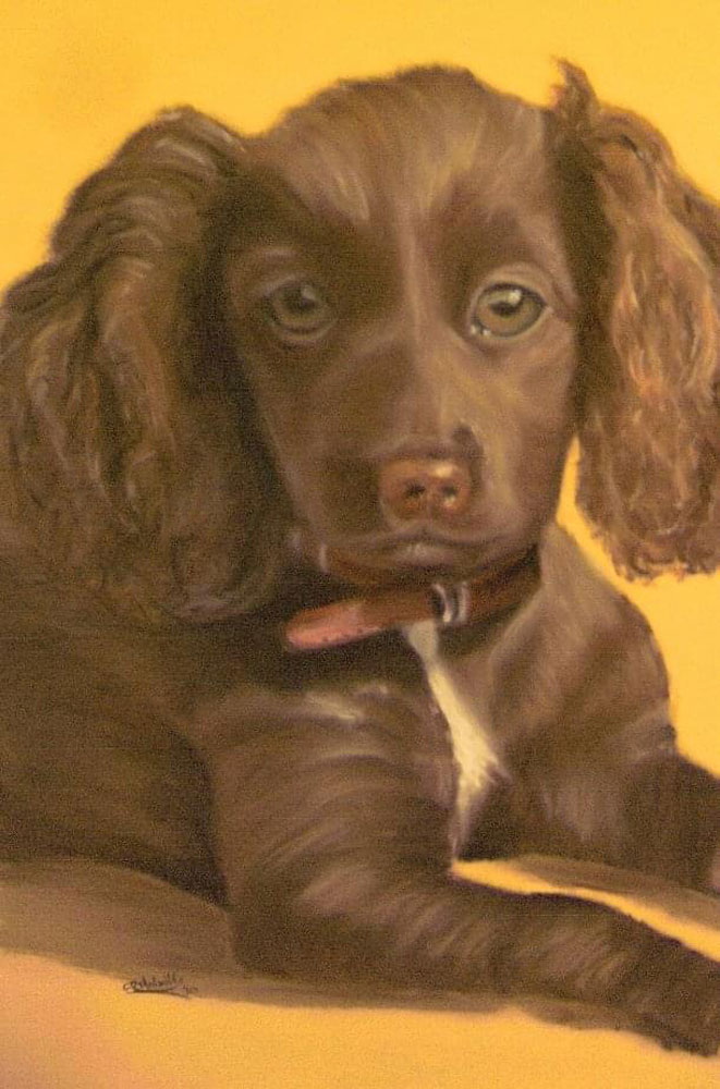 First Pastel commission, by Su Melville.
