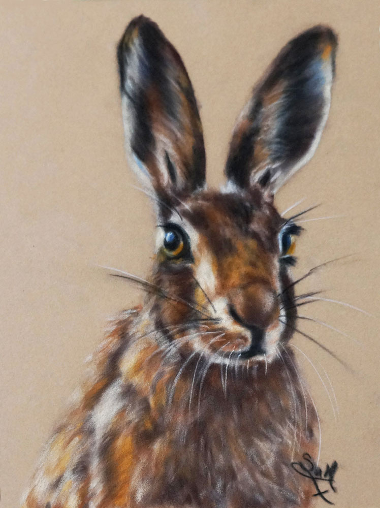 Hare on Velour paper, lots of layering and loads of fur detail.